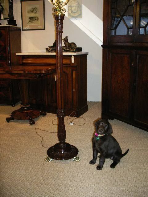 Victorian Mahogany Standard Lamp
