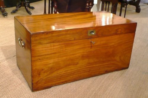 Campror Trunk / Coffee Table
