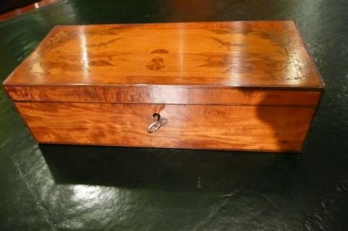Satinwood Jewel /Glove Box C1900
