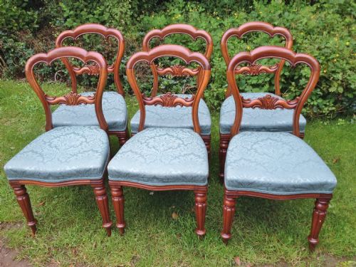 Dining Chairs. Set of 6