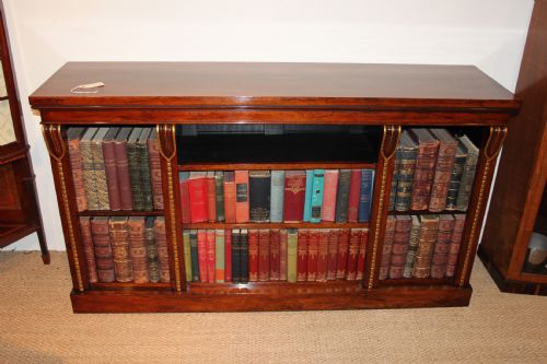 Georgian Rosewood Bookcase