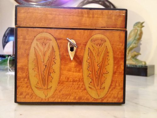 Satinwood Tea Caddy