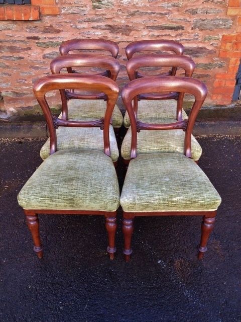 Mahogany Dining Chairs