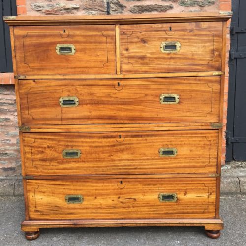 Camphor Wood Chest