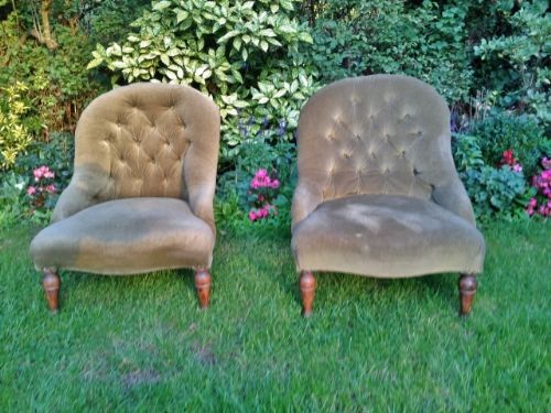 Pair of  Button Back Chairs