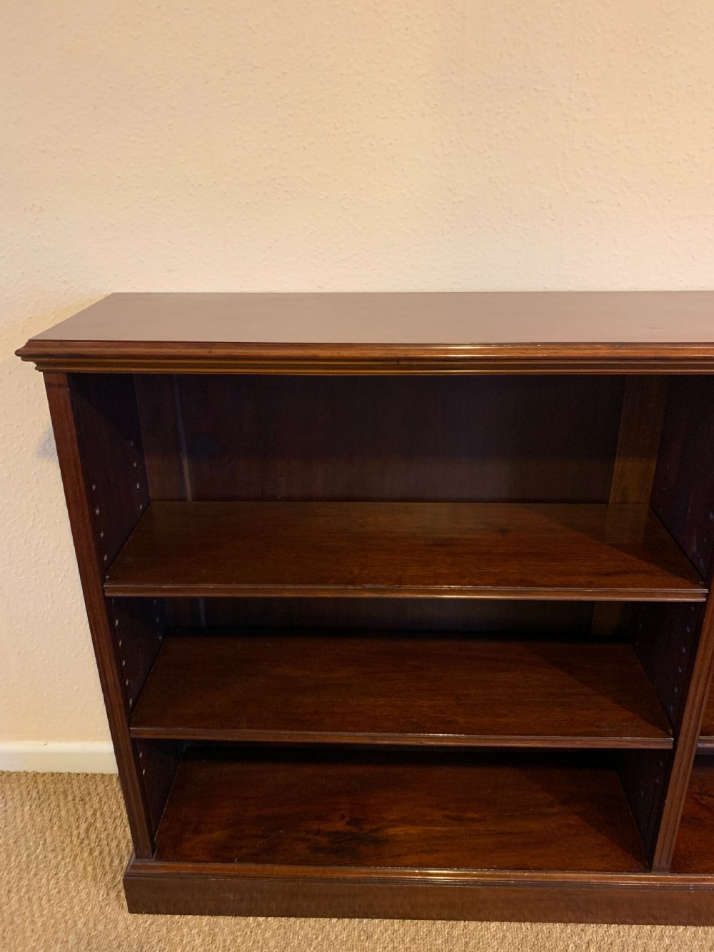 Large open bookcase  View II