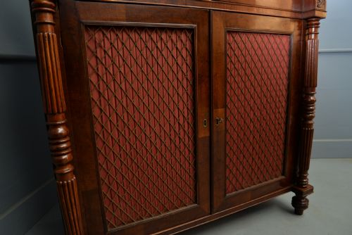 FINE REGENCY MAHOGANY CHIFFONIER SIDE CABINET - ADDITIONAL PHOTO 12