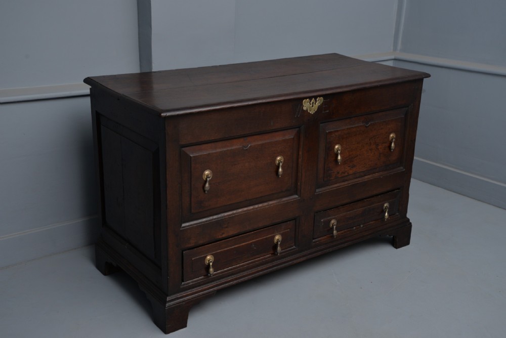 18th Century Oak Mule Chest View III
