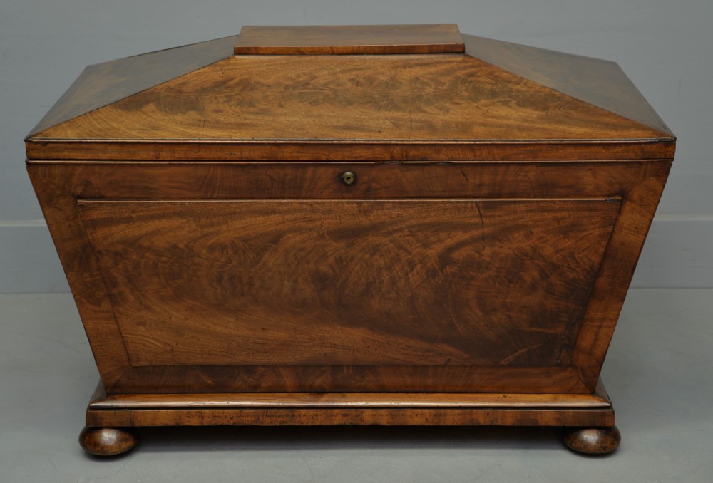 Large Regency Sarcophagus Mahogany Wine Cellarette View II