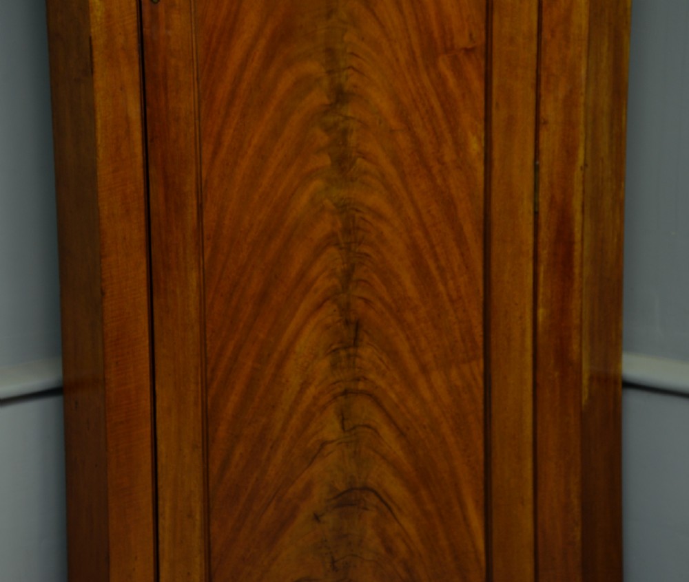 Victorian Solid Figured Mahogany Corner Hall Robe Wardrobe / Coat Cupboard View IV