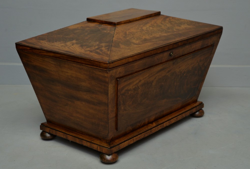 Large Regency Sarcophagus Mahogany Wine Cellarette View V
