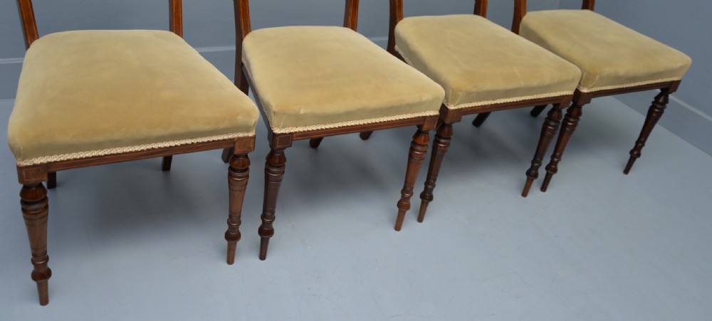 Elegant Set Of Four Edwardian Mahogany & Marquetry Dining Chairs View XIV
