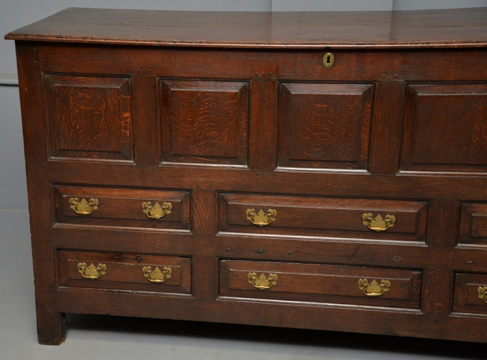 Magnificent Large 18th Century Georgian Oak Mule Chest View VIII