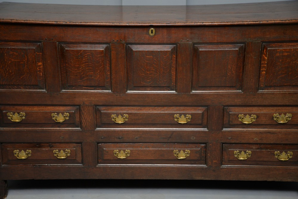 Magnificent Large 18th Century Georgian Oak Mule Chest View IX