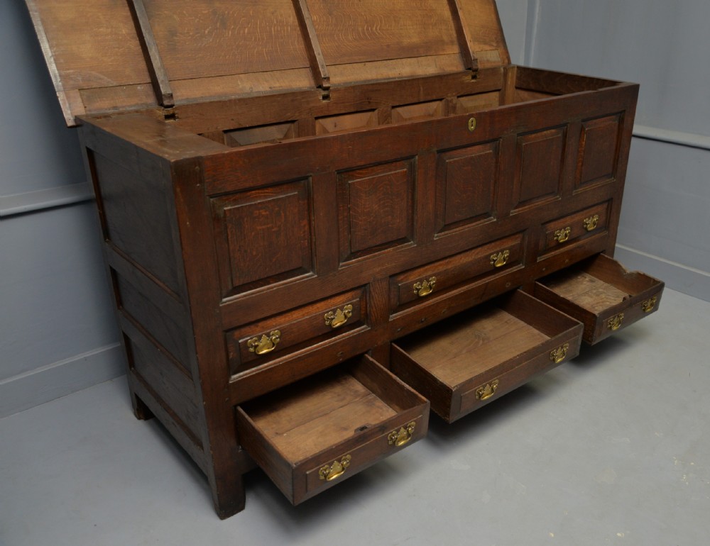 Magnificent Large 18th Century Georgian Oak Mule Chest View XII