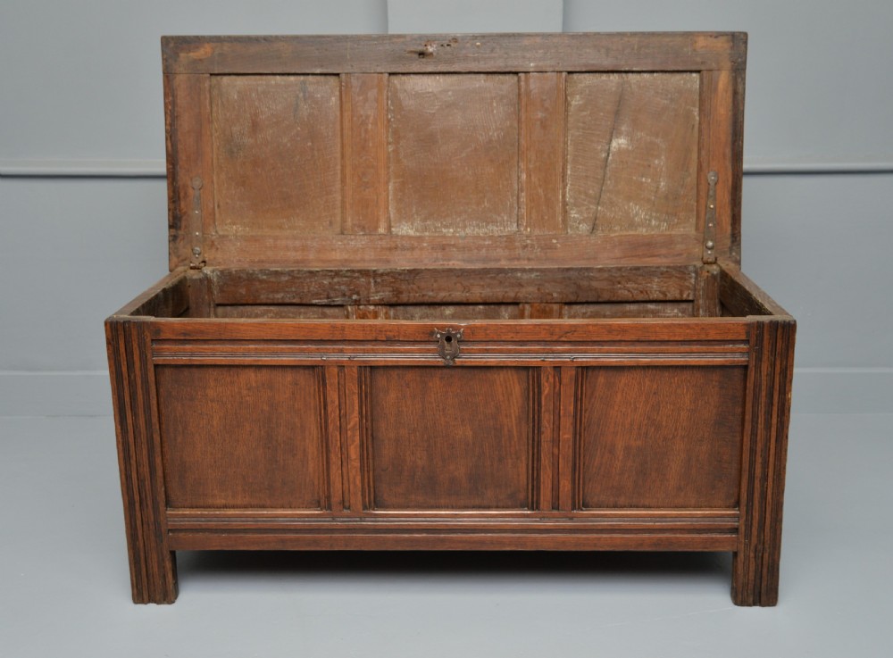 18th Century Oak Coffer Chest View IV
