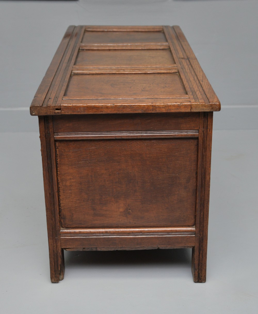 18th Century Oak Coffer Chest View VII