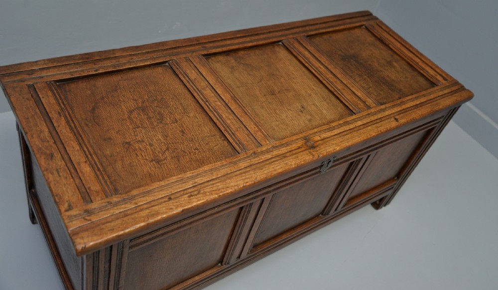 18th Century Oak Coffer Chest View X
