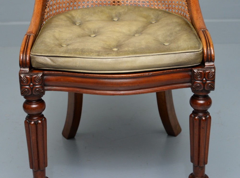 William IV Mahogany Bergere Library Chair C1830 View VIII
