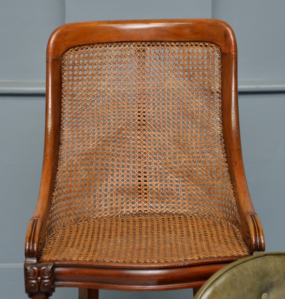 William IV Mahogany Bergere Library Chair C1830 View IX