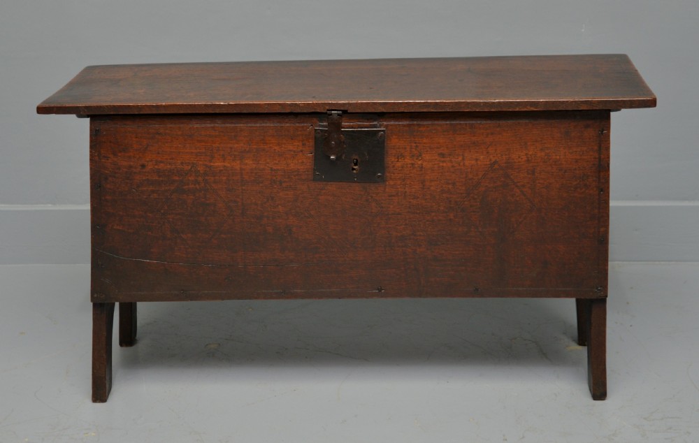 17th Century Oak Boarded Chest View III