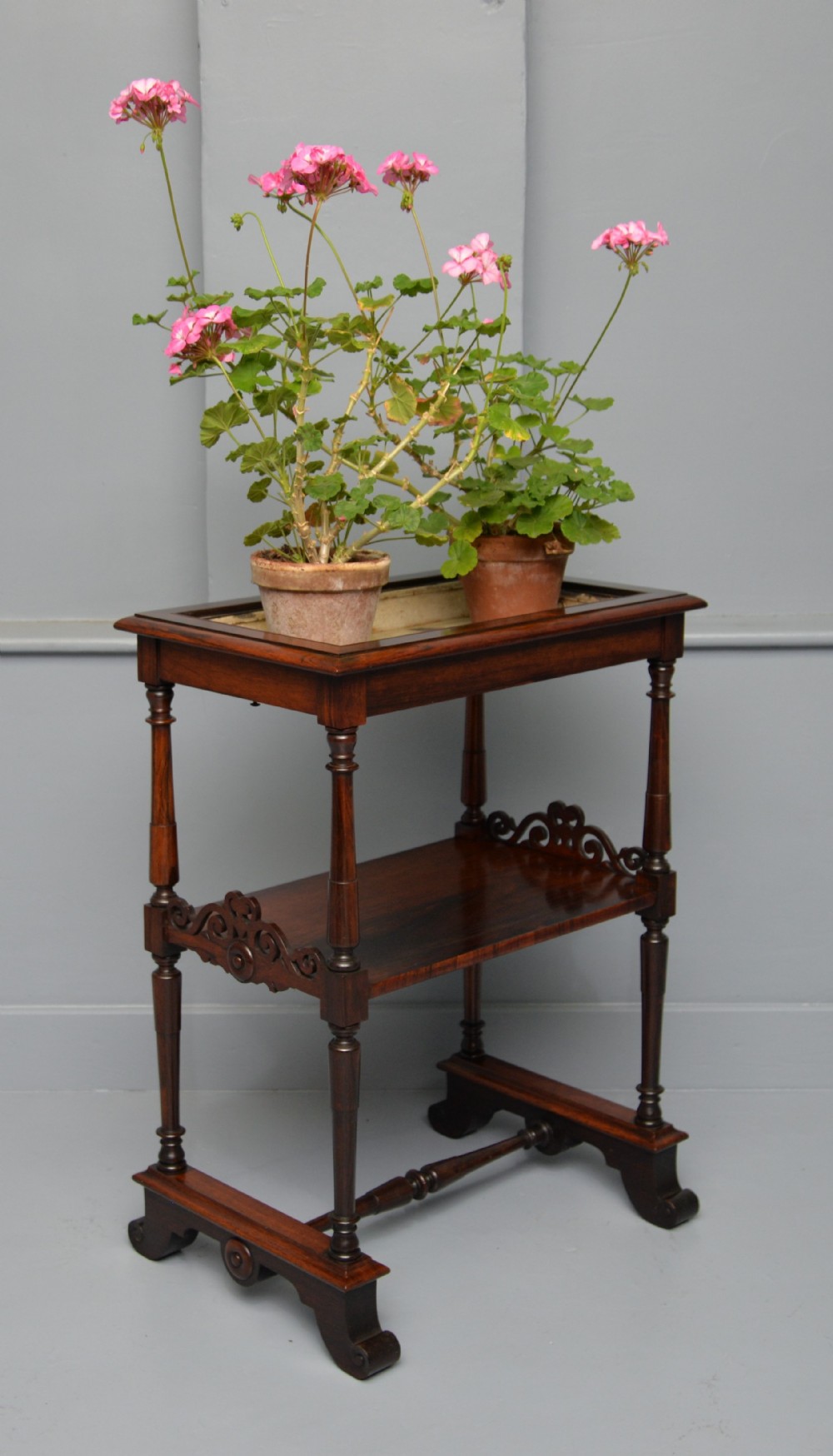 A dark William IV rosewood plant stand with a recessed upper tray, turned support posts, a lower shelf with carved scrollwork, and scroll feet.