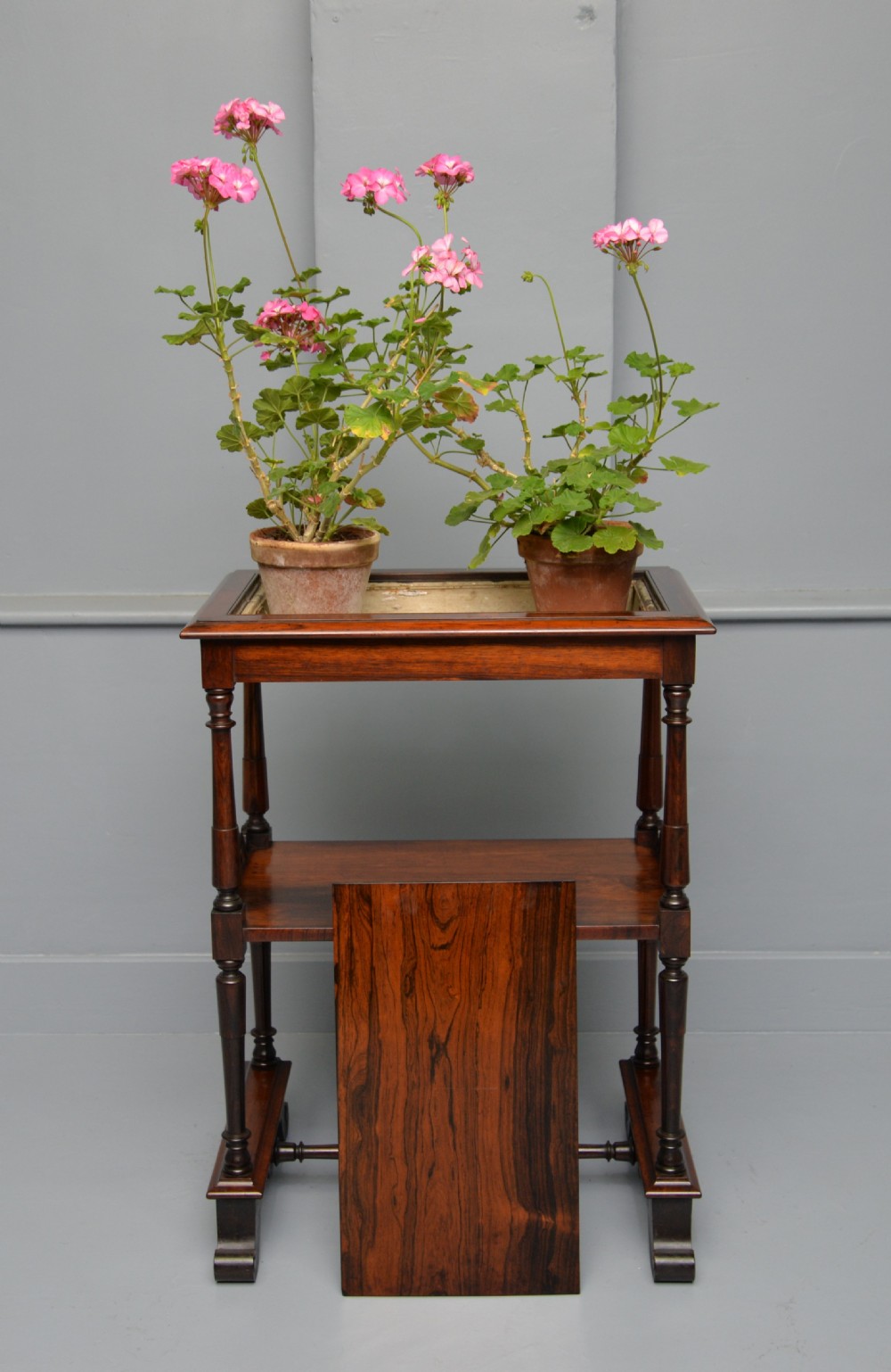 A dark William IV rosewood plant stand with a recessed upper tray, turned support posts, a lower shelf with carved scrollwork, and scroll feet. View III