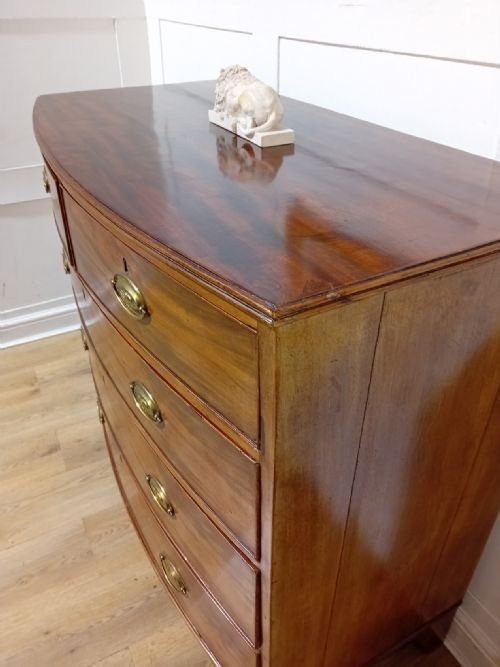ANTIQUE REGENCY MAHOGANY BOW FRONT CHEST OF DRAWERS C181120 - ADDITIONAL PHOTO 4