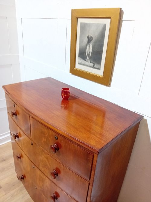 ANTIQUE WILLIAM IV BOW FRONT CHEST OF DRAWERS C183037 - ADDITIONAL PHOTO 3