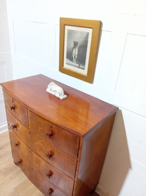 ANTIQUE WILLIAM IV BOW FRONT CHEST OF DRAWERS C183037 - ADDITIONAL PHOTO 4