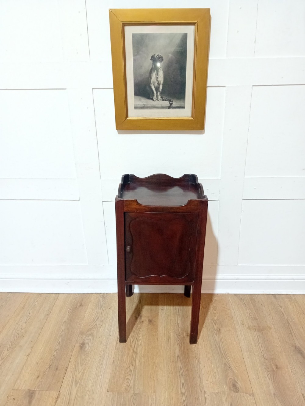 An 18th-century Georgian dark mahogany bedside cabinet featuring a galleried tray top with cut-out handles and a single panelled cupboard door resting on square legs. View III