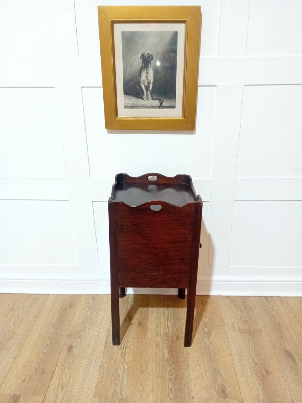 An 18th-century Georgian dark mahogany bedside cabinet featuring a galleried tray top with cut-out handles and a single panelled cupboard door resting on square legs. View VIII