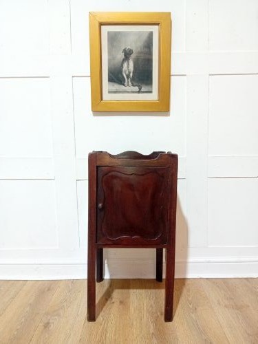 An 18th-century Georgian dark mahogany bedside cabinet featuring a galleried tray top with cut-out handles and a single panelled cupboard door resting on square legs. View IV