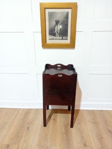 An 18th-century Georgian dark mahogany bedside cabinet featuring a galleried tray top with cut-out handles and a single panelled cupboard door resting on square legs. View VI