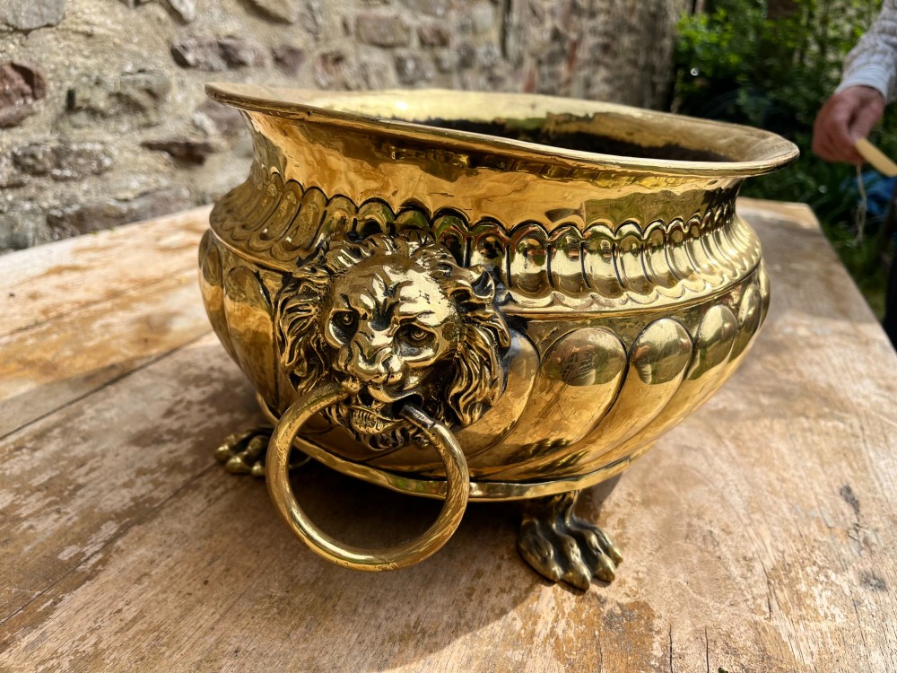 A polished brass jardiniere featuring gadrooned side fluting, twin lion mask handles with hanging rings, and cast paw feet. View IV