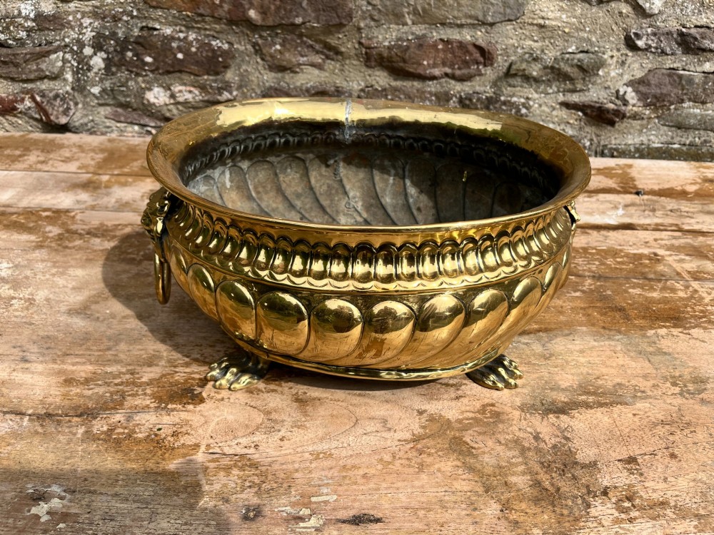 A polished brass jardiniere featuring gadrooned side fluting, twin lion mask handles with hanging rings, and cast paw feet. View V