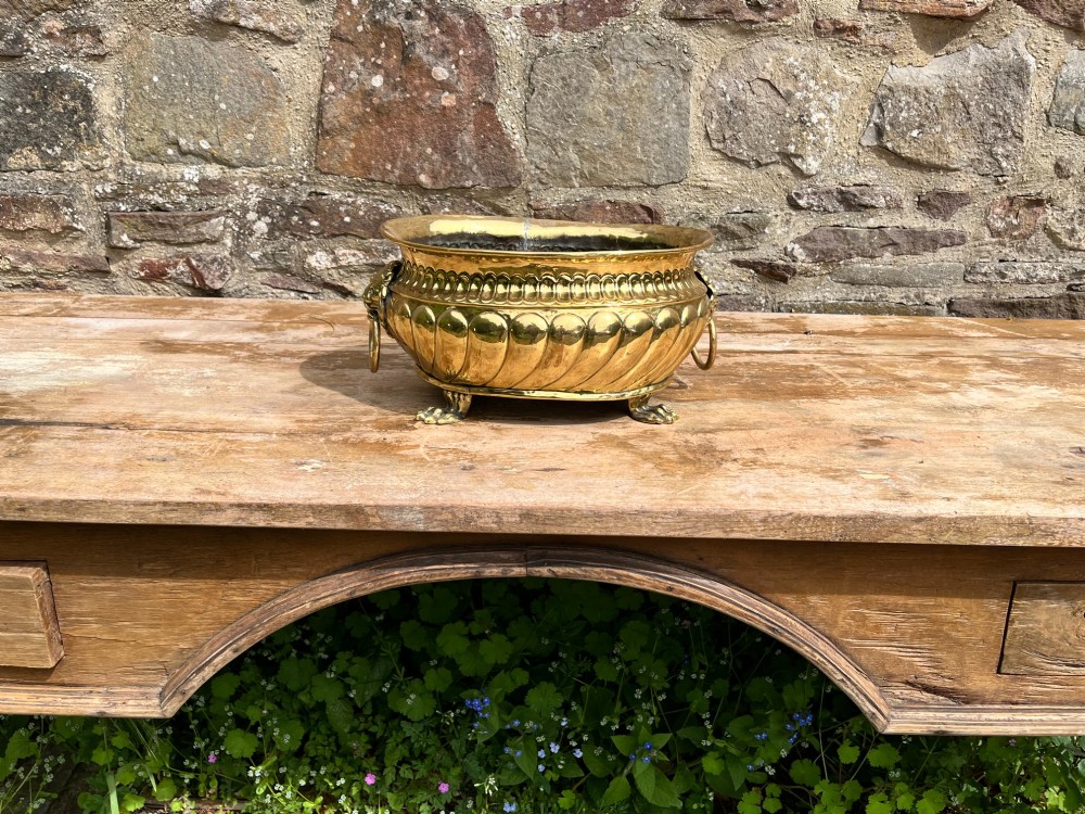 A polished brass jardiniere featuring gadrooned side fluting, twin lion mask handles with hanging rings, and cast paw feet. View VI