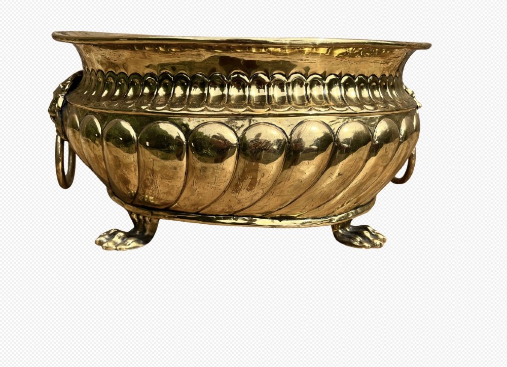A polished brass jardiniere featuring gadrooned side fluting, twin lion mask handles with hanging rings, and cast paw feet.