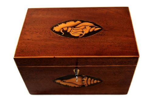 fig 1. Mahogany Tea Caddy