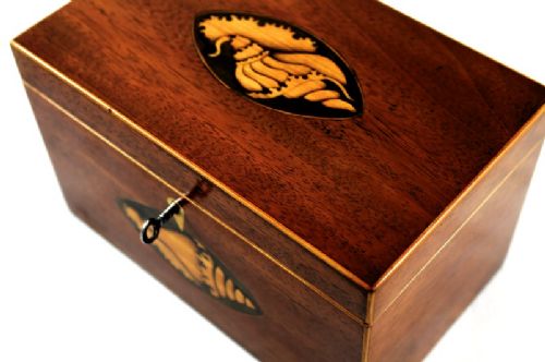 Mahogany Tea Caddy