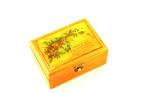 fig 1. Mauchline ware Box