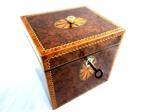 Single Burr Yew Tea Caddy