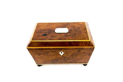Burr Yew Tea Caddy C.1820