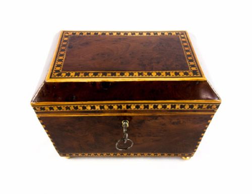 Burr Yew Tea Caddy C.1800