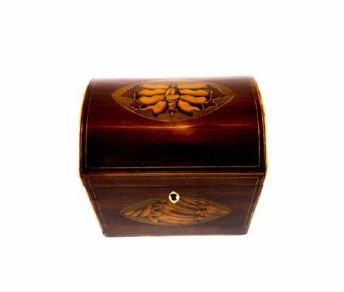 Moth Domed Top Georgian Tea Caddy C.1800