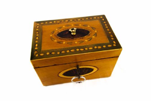 Georgian Satinwood Tea Caddy - Rare