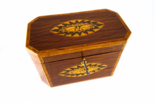 Rare Partridge Wood Twin Tea Caddy C.1800