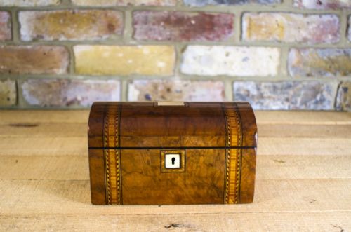 Dome Top Walnut Tea Caddy C.1870