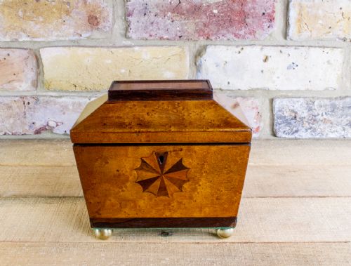 Birds Eye Maple Tea Caddy C.1840
