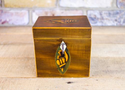 Mahogany Single Tea Caddy C.1780